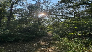 0 Cr 302, Bellevue, 44811, ,Land,For Sale,Cr 302,20253211
