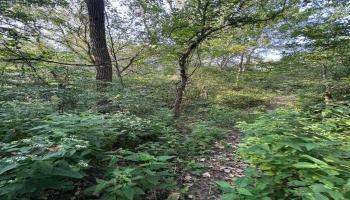 0 Cr 302, Bellevue, 44811, ,Land,For Sale,Cr 302,20253211