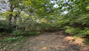 0 Cr 302, Bellevue, 44811, ,Land,For Sale,Cr 302,20253211