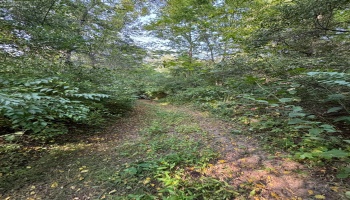 0 Cr 302, Bellevue, 44811, ,Land,For Sale,Cr 302,20253211