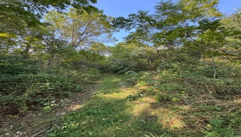0 Cr 302, Bellevue, 44811, ,Land,For Sale,Cr 302,20253211