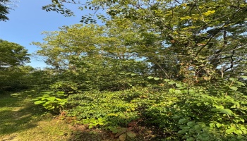 0 Cr 302, Bellevue, 44811, ,Land,For Sale,Cr 302,20253211