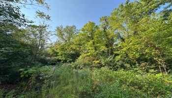 0 Cr 302, Bellevue, 44811, ,Land,For Sale,Cr 302,20253211