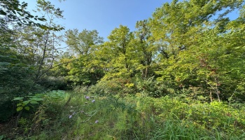 0 Cr 302, Bellevue, 44811, ,Land,For Sale,Cr 302,20253211