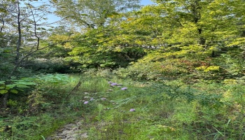 0 Cr 302, Bellevue, 44811, ,Land,For Sale,Cr 302,20253211
