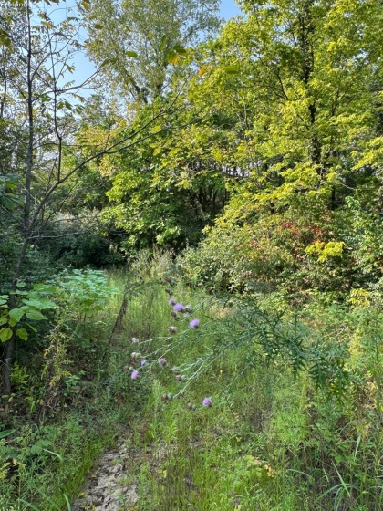 0 County Road 302, Bellevue, 44811, ,Land,For Sale,County Road 302,20253211