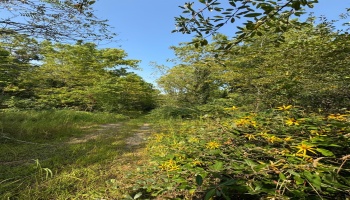 0 Cr 302, Bellevue, 44811, ,Land,For Sale,Cr 302,20253211