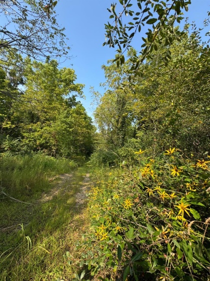 0 County Road 302, Bellevue, 44811, ,Land,For Sale,County Road 302,20253211