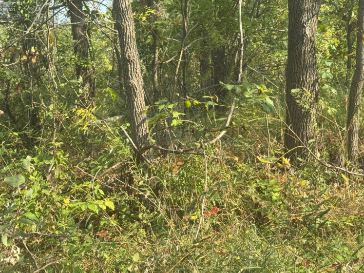 0 County Road 302, Bellevue, 44811, ,Land,For Sale,County Road 302,20253211