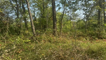 0 Cr 302, Bellevue, 44811, ,Land,For Sale,Cr 302,20253211