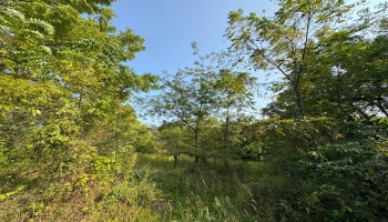 0 Cr 302, Bellevue, 44811, ,Land,For Sale,Cr 302,20253211