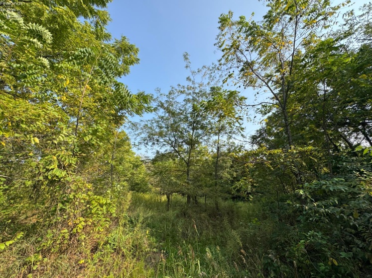 0 County Road 302, Bellevue, 44811, ,Land,For Sale,County Road 302,20253211