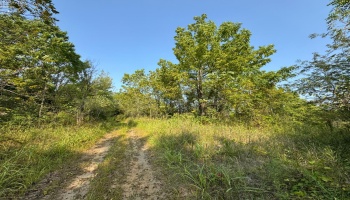 0 Cr 302, Bellevue, 44811, ,Land,For Sale,Cr 302,20253211