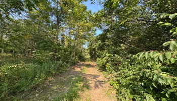 0 Cr 302, Bellevue, 44811, ,Land,For Sale,Cr 302,20253211