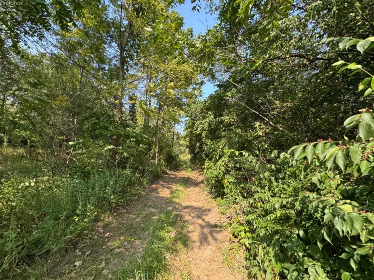 0 County Road 302, Bellevue, 44811, ,Land,For Sale,County Road 302,20253211