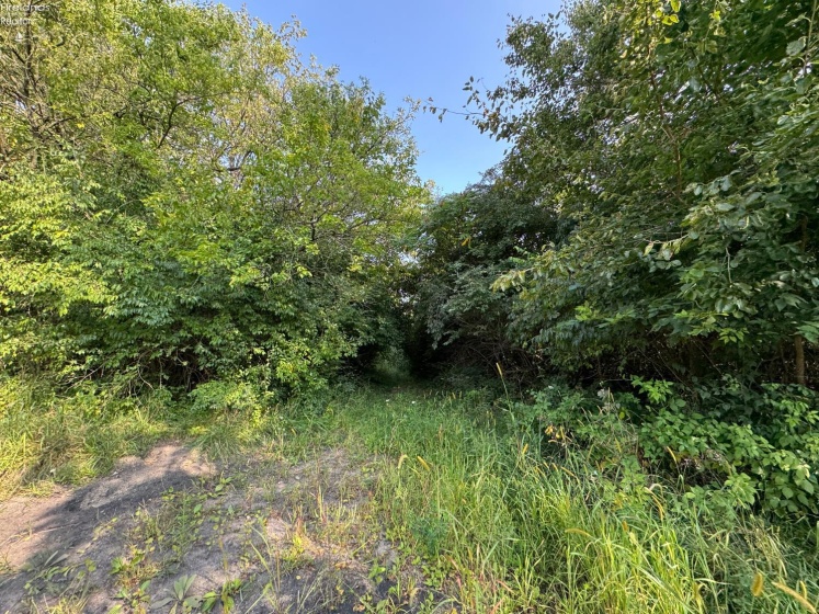 0 County Road 302, Bellevue, 44811, ,Land,For Sale,County Road 302,20253211