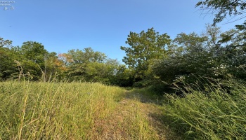0 Cr 302, Bellevue, 44811, ,Land,For Sale,Cr 302,20253211