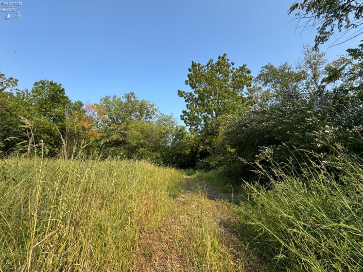 0 County Road 302, Bellevue, 44811, ,Land,For Sale,County Road 302,20253211