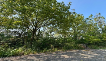 0 Cr 302, Bellevue, 44811, ,Land,For Sale,Cr 302,20253211