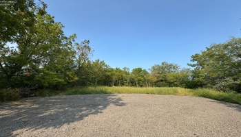 0 Cr 302, Bellevue, 44811, ,Land,For Sale,Cr 302,20253211