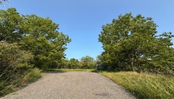 0 Cr 302, Bellevue, 44811, ,Land,For Sale,Cr 302,20253211