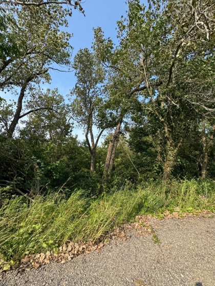 0 County Road 302, Bellevue, 44811, ,Land,For Sale,County Road 302,20253211