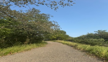 0 Cr 302, Bellevue, 44811, ,Land,For Sale,Cr 302,20253211