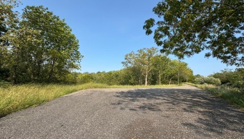 0 Cr 302, Bellevue, 44811, ,Land,For Sale,Cr 302,20253211