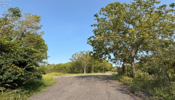 0 Cr 302, Bellevue, 44811, ,Land,For Sale,Cr 302,20253211