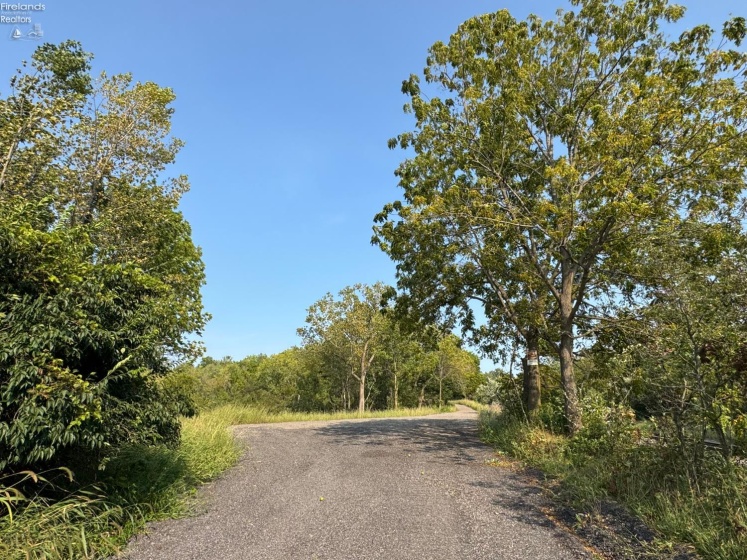 0 County Road 302, Bellevue, 44811, ,Land,For Sale,County Road 302,20253211