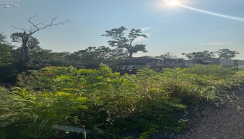 0 Cr 302, Bellevue, 44811, ,Land,For Sale,Cr 302,20253211