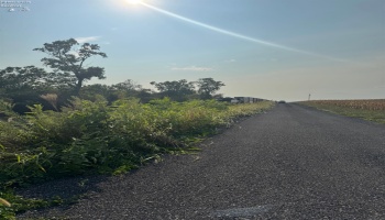 0 Cr 302, Bellevue, 44811, ,Land,For Sale,Cr 302,20253211