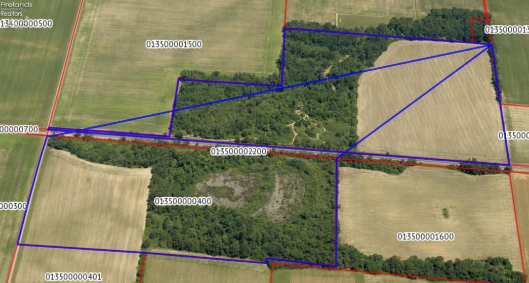 0 County Road 302, Bellevue, 44811, ,Land,For Sale,County Road 302,20253521
