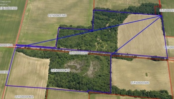 0 County Road 302, Bellevue, 44811, ,Land,For Sale,County Road 302,20253521