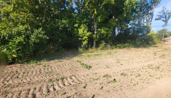 4255 Sandra Drive, Port Clinton, 43452, ,Land,For Sale,Sandra,20253599