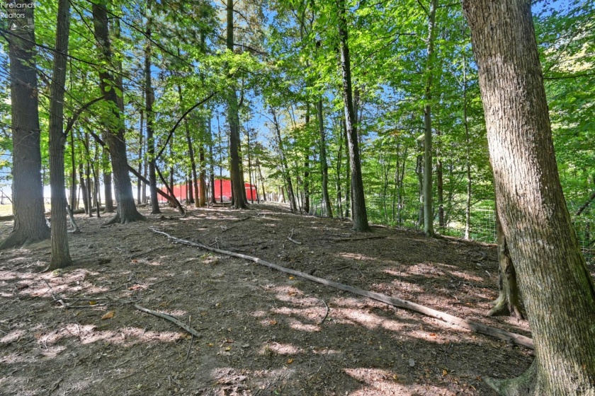 0 Peru Olena Road, Norwalk, 44857, ,Land,For Sale,Peru Olena Road,20253662