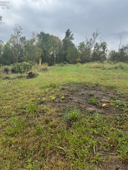 4357 Townline Road 12, Willard, 44890, ,Land,For Sale,Townline Road 12,20253871