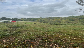 4357 Townline Road 12, Willard, 44890, ,Land,For Sale,Townline Road 12,20253871