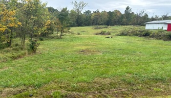 4357 Townline Road 12, Willard, 44890, ,Land,For Sale,Townline Road 12,20253871