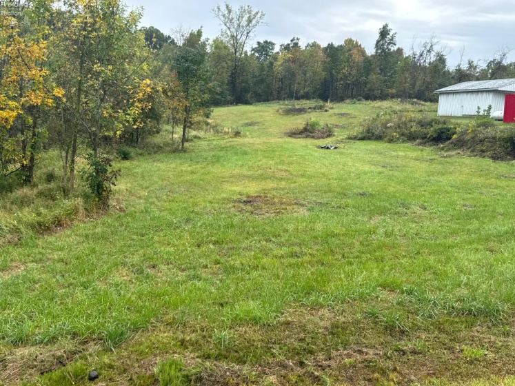 4357 Townline Road 12, Willard, 44890, ,Land,For Sale,Townline Road 12,20253871