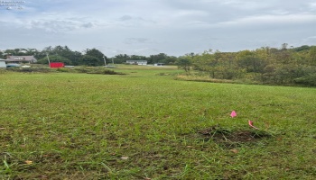 4357 Townline Road 12, Willard, 44890, ,Land,For Sale,Townline Road 12,20253871