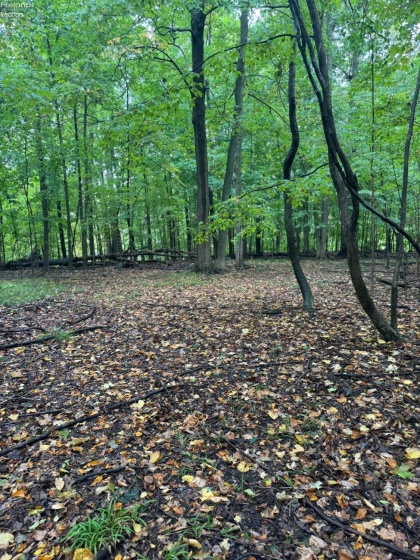 4357 Townline Road 12, Willard, 44890, ,Land,For Sale,Townline Road 12,20253871