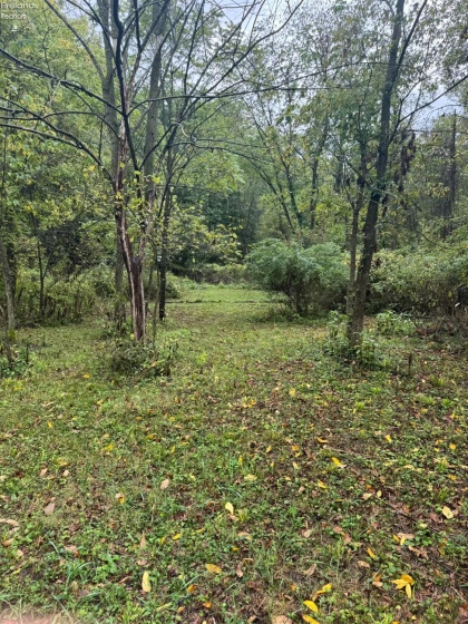 4357 Townline Road 12, Willard, 44890, ,Land,For Sale,Townline Road 12,20253871