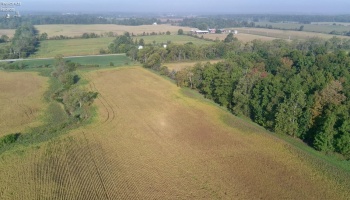 0 Section Line Road, New London, 44851, ,Land,For Sale,Section Line,20253852