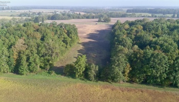0 Section Line Road, New London, 44851, ,Land,For Sale,Section Line,20253852