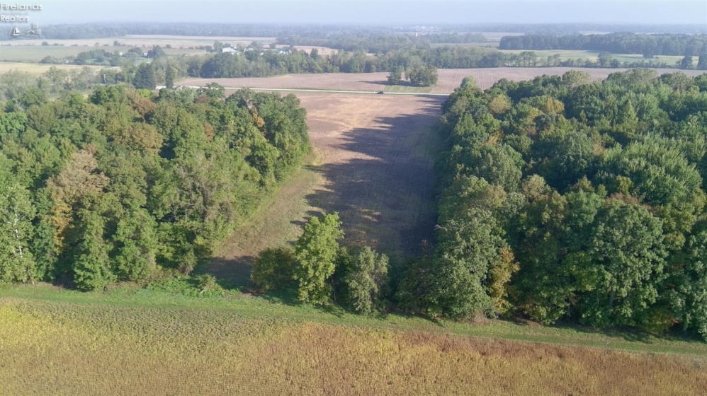 0 Section Line Road, New London, 44851, ,Land,For Sale,Section Line,20253852