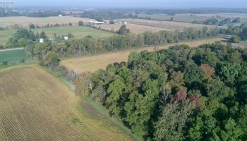 0 Section Line Road, New London, 44851, ,Land,For Sale,Section Line,20253852