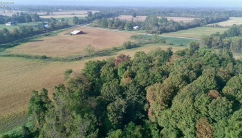 0 Section Line Road, New London, 44851, ,Land,For Sale,Section Line,20253852