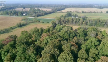 0 Section Line Road, New London, 44851, ,Land,For Sale,Section Line,20253852