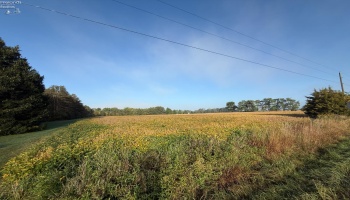 0 Section Line Road, New London, 44851, ,Land,For Sale,Section Line,20253852